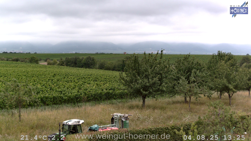 Webcam Weinberge Hochstadt