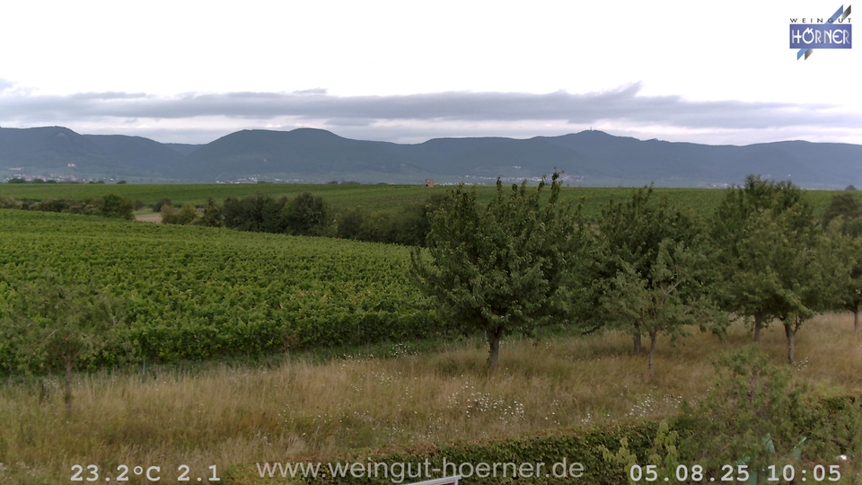 Webcam Weinberge Hochstadt