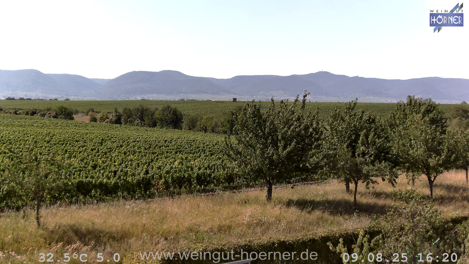 Webcam Weinberge Hochstadt