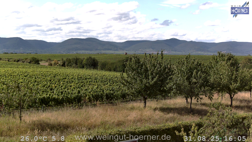 Webcam Weinberge Hochstadt