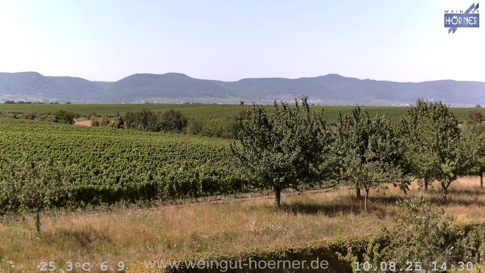 Webcam Weinberge Hochstadt