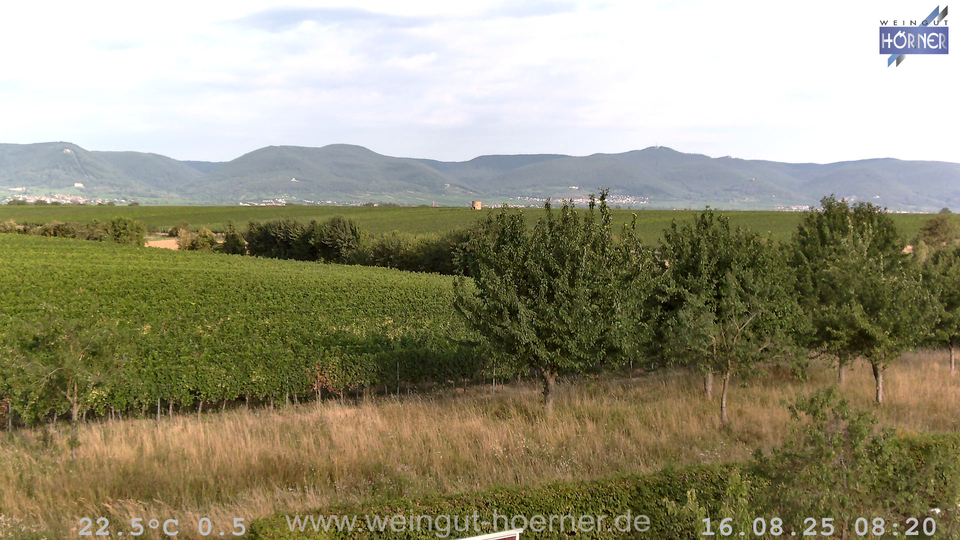 Webcam Weinberge Hochstadt