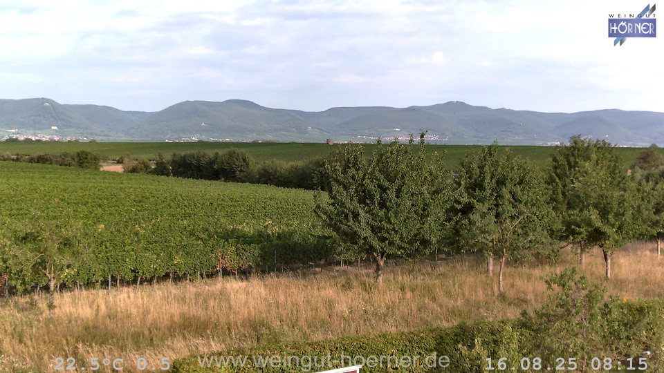 Webcam Weinberge Hochstadt