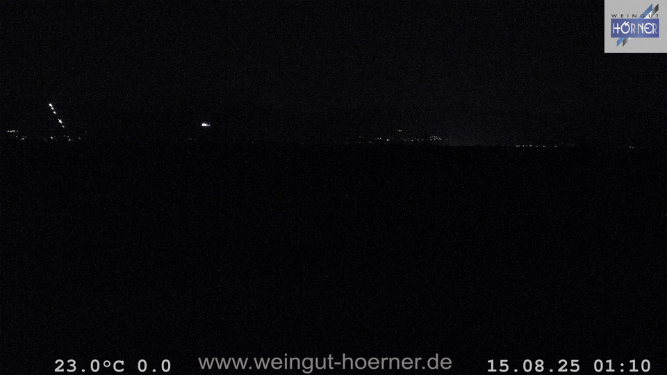 Webcam Weinberge Hochstadt