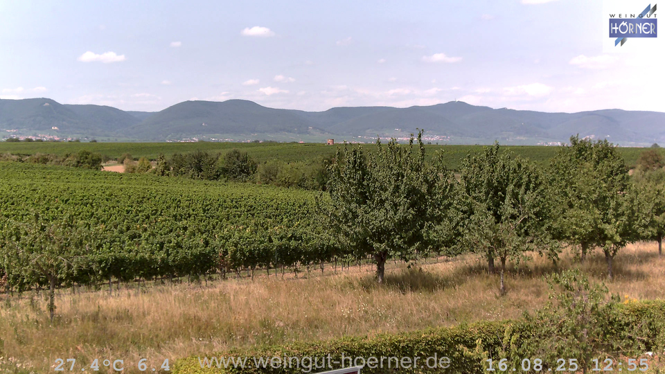 Webcam Weinberge Hochstadt