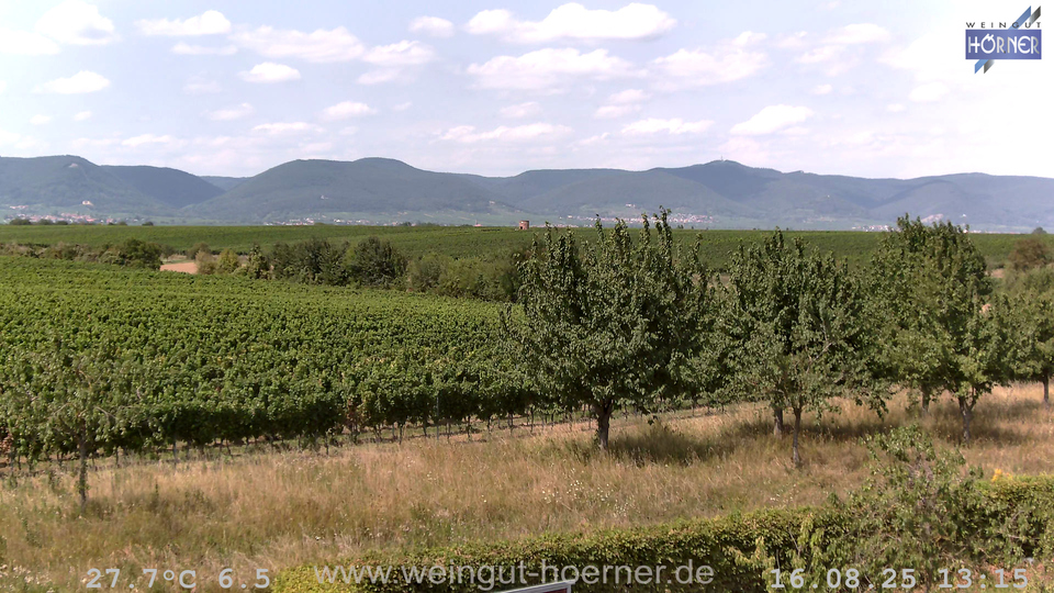 Webcam Weinberge Hochstadt