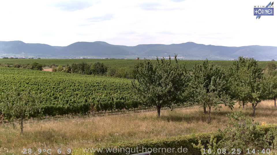 Webcam Weinberge Hochstadt