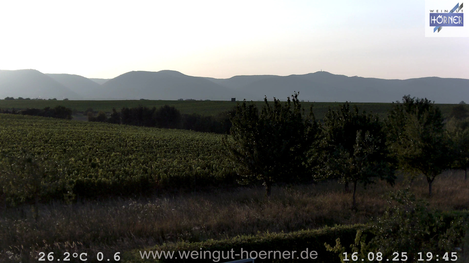 Webcam Weinberge Hochstadt
