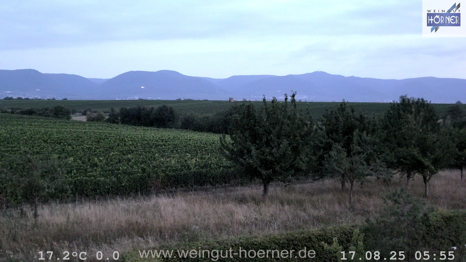 Webcam Weinberge Hochstadt
