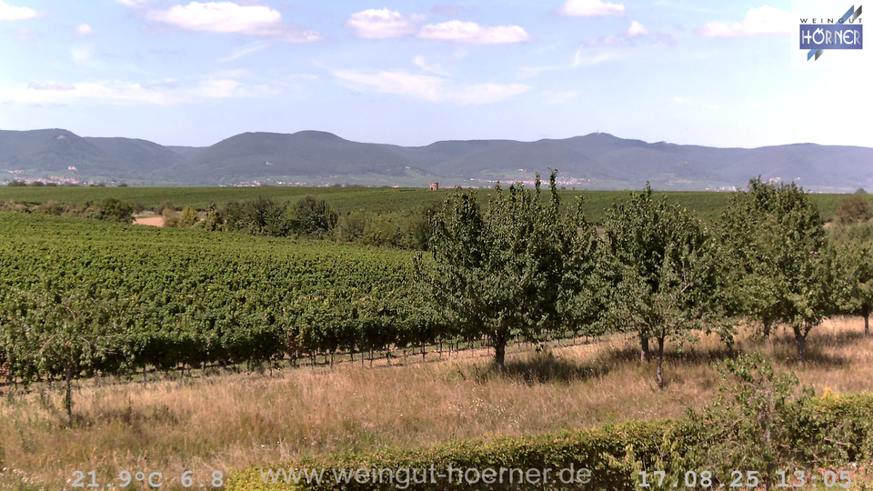 Webcam Weinberge Hochstadt