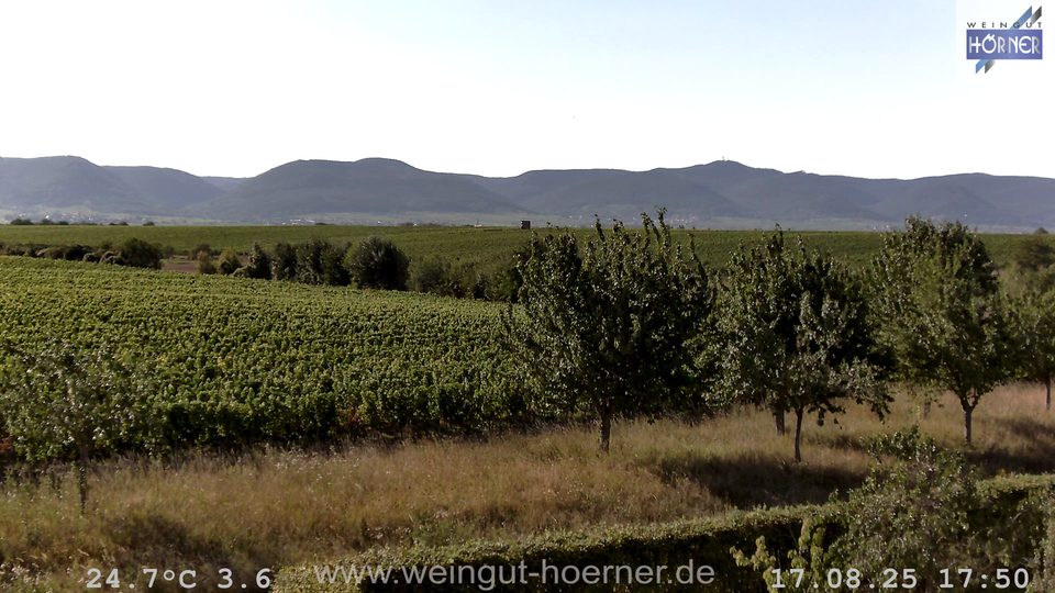 Webcam Weinberge Hochstadt
