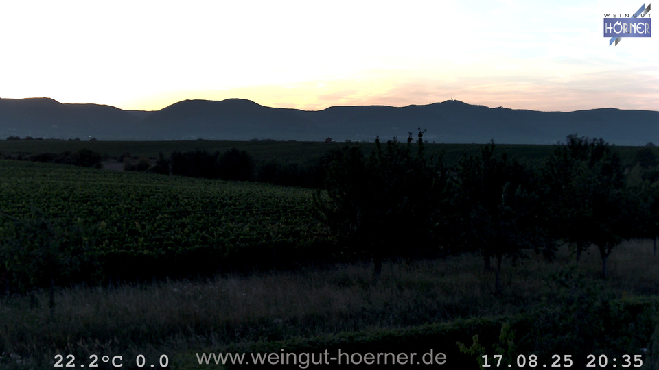 Webcam Weinberge Hochstadt