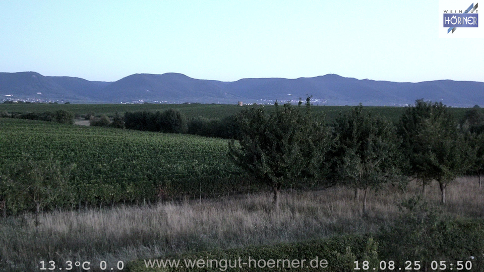Webcam Weinberge Hochstadt