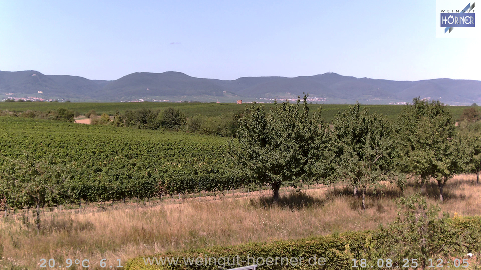 Webcam Weinberge Hochstadt