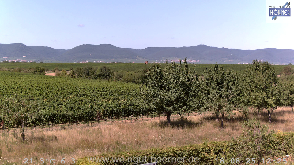 Webcam Weinberge Hochstadt