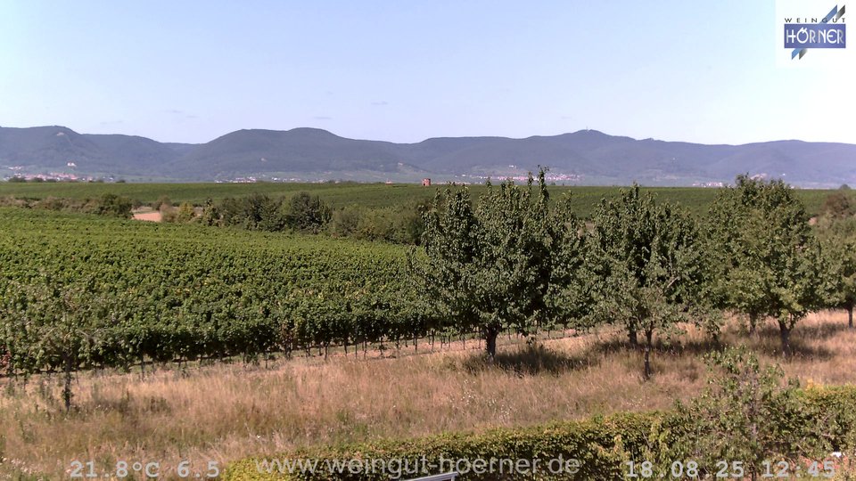 Webcam Weinberge Hochstadt