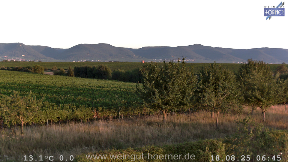 Webcam Weinberge Hochstadt