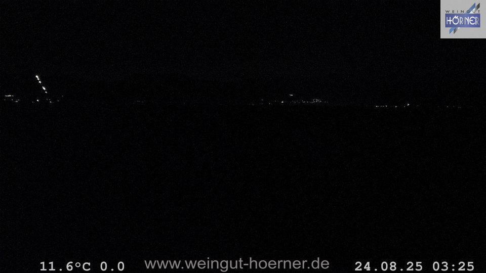 Webcam Weinberge Hochstadt