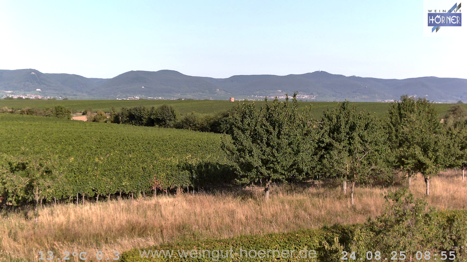 Webcam Weinberge Hochstadt