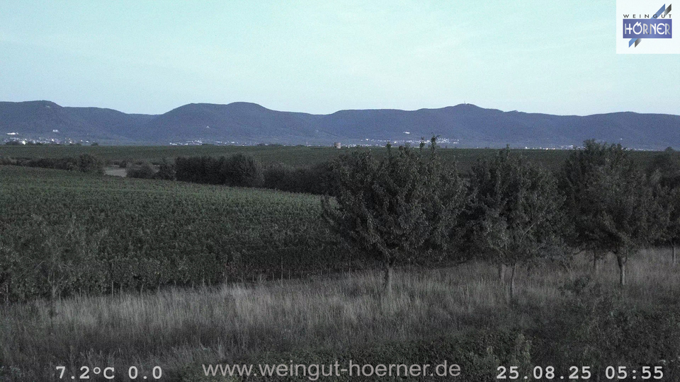 Webcam Weinberge Hochstadt