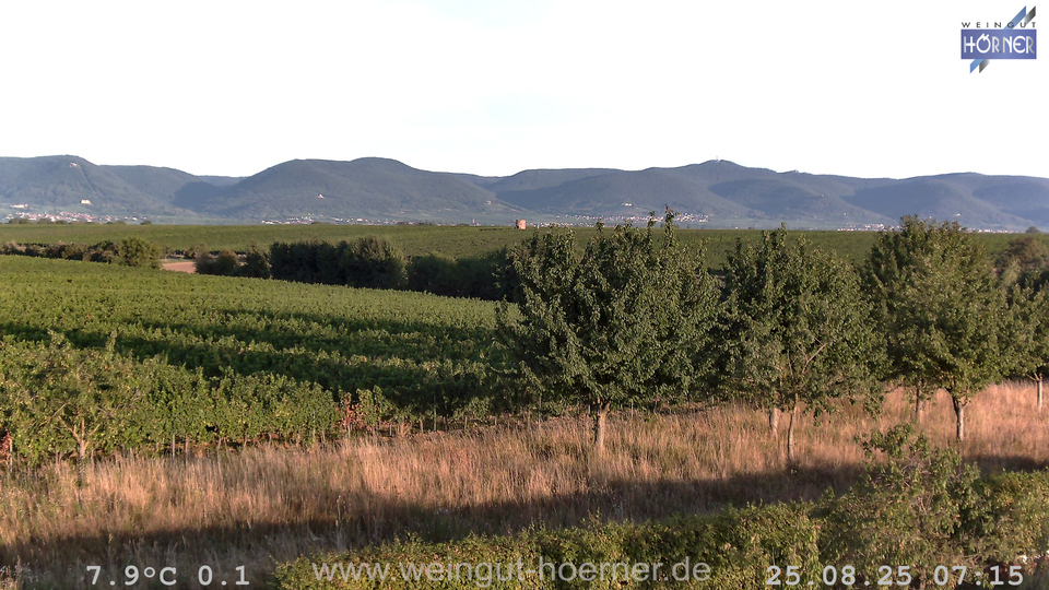 Webcam Weinberge Hochstadt