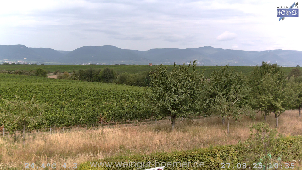 Webcam Weinberge Hochstadt