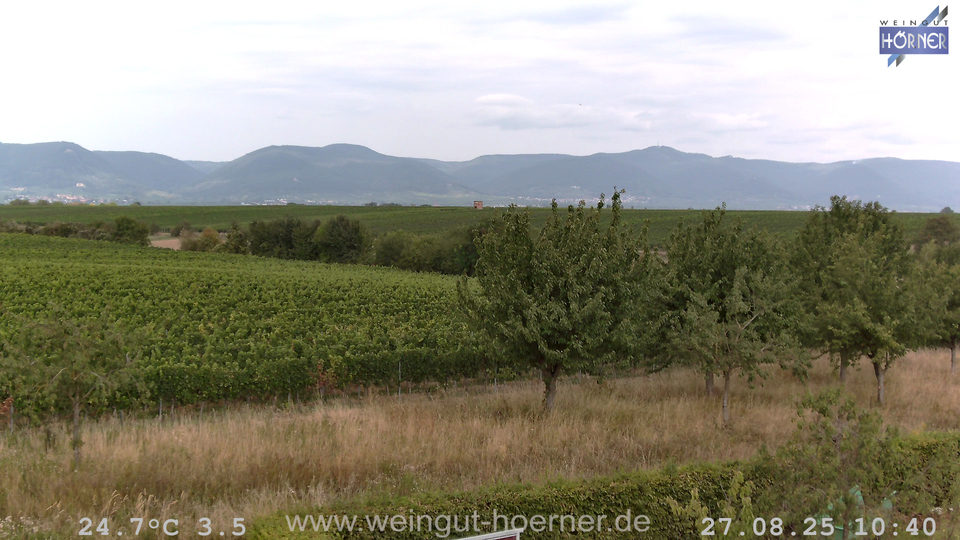 Webcam Weinberge Hochstadt