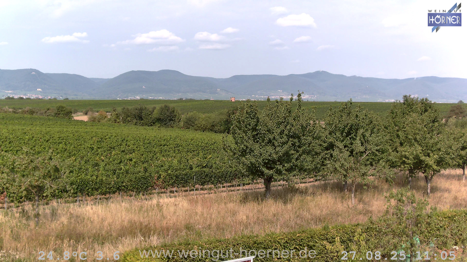 Webcam Weinberge Hochstadt