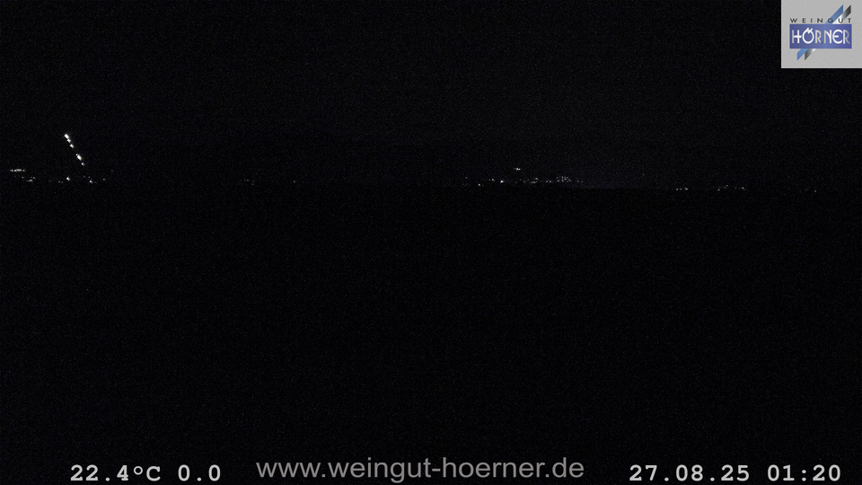 Webcam Weinberge Hochstadt