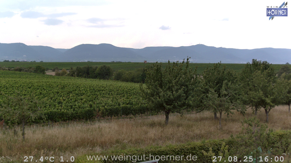 Webcam Weinberge Hochstadt