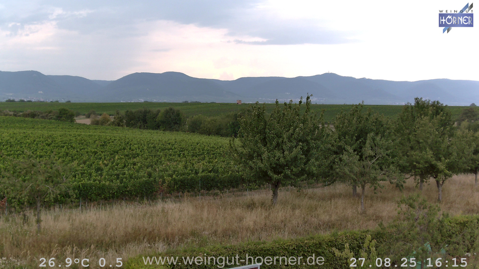 Webcam Weinberge Hochstadt
