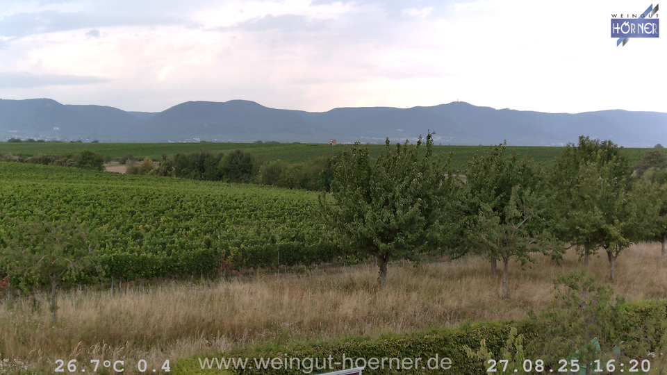 Webcam Weinberge Hochstadt