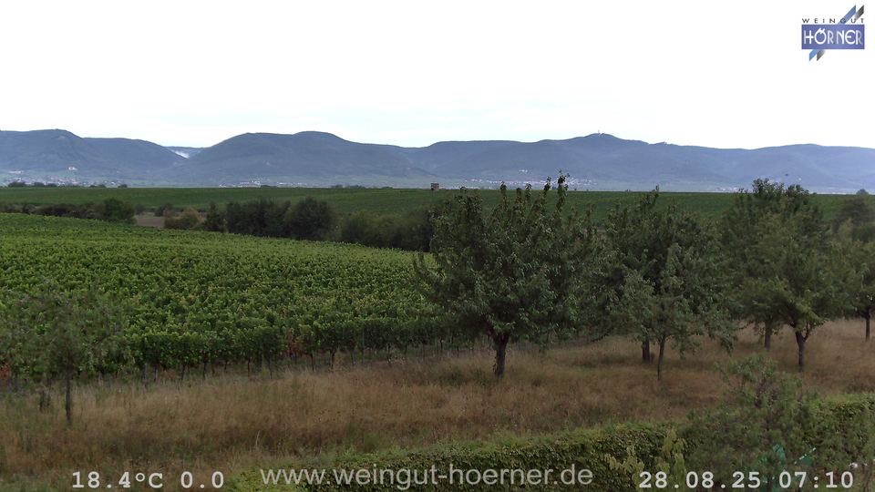 Webcam Weinberge Hochstadt