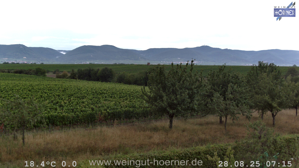 Webcam Weinberge Hochstadt