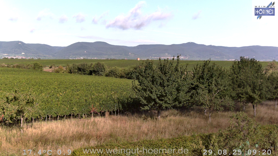Webcam Weinberge Hochstadt