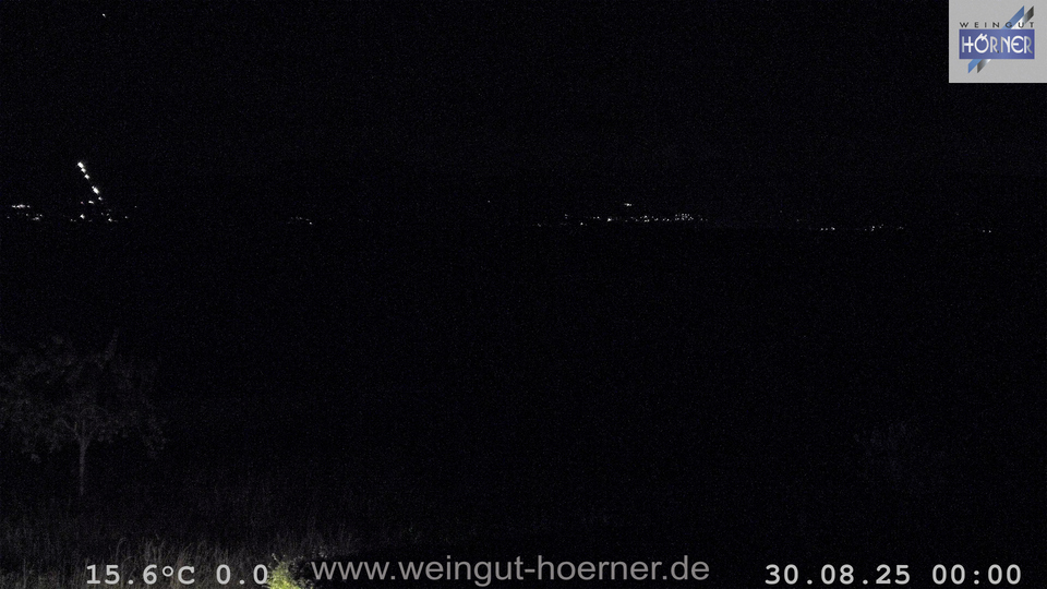 Webcam Weinberge Hochstadt