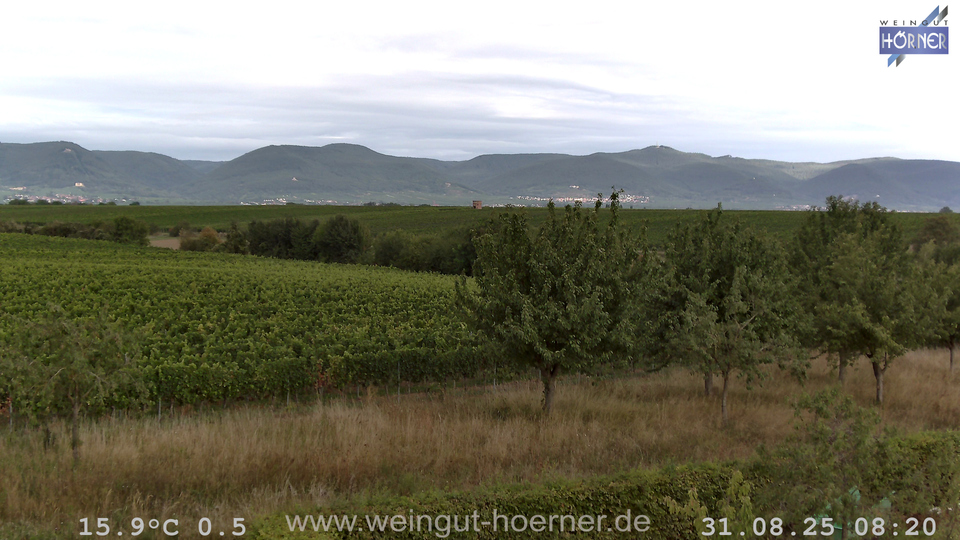 Webcam Weinberge Hochstadt