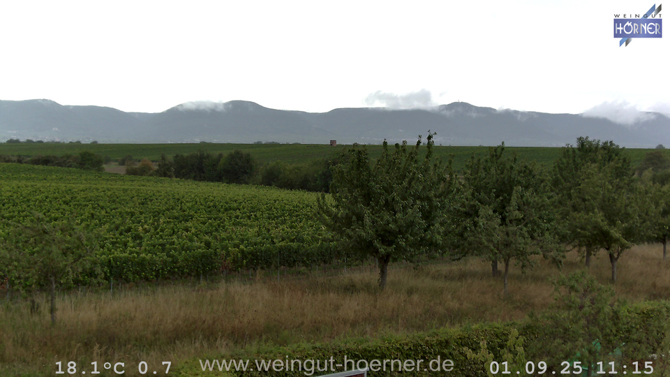Webcam Weinberge Hochstadt