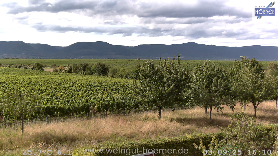 Webcam Weinberge Hochstadt