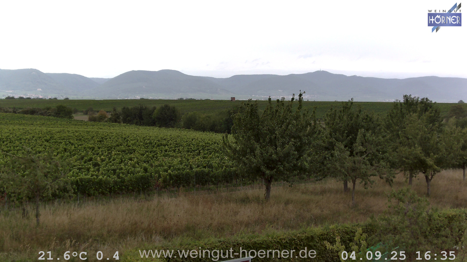 Webcam Weinberge Hochstadt