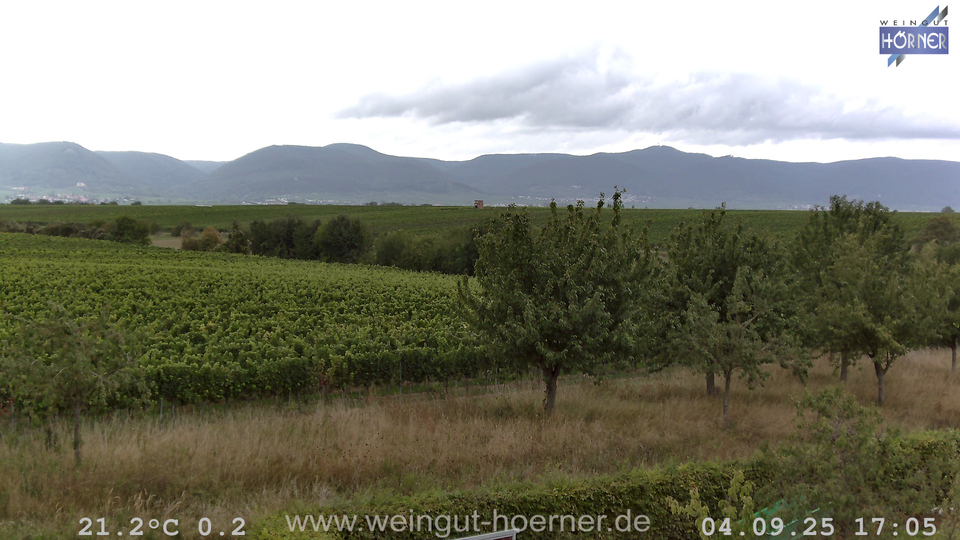 Webcam Weinberge Hochstadt