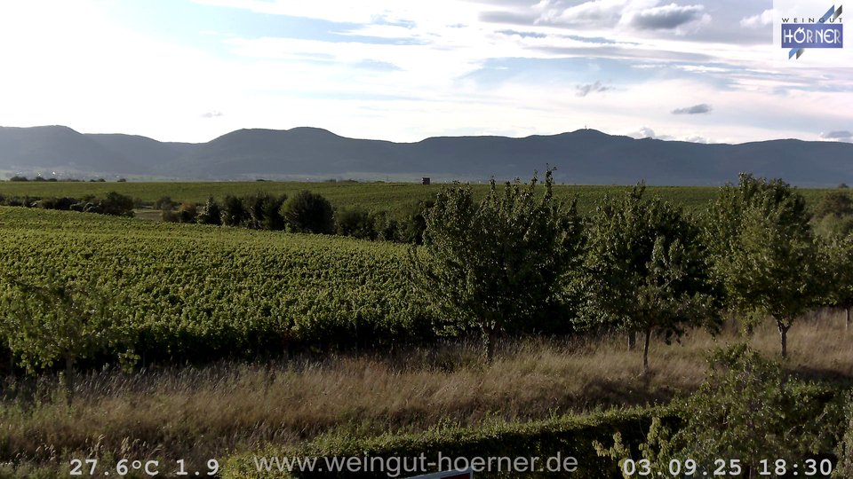 Webcam Weinberge Hochstadt