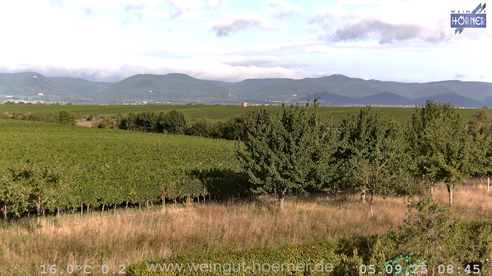 Webcam Weinberge Hochstadt