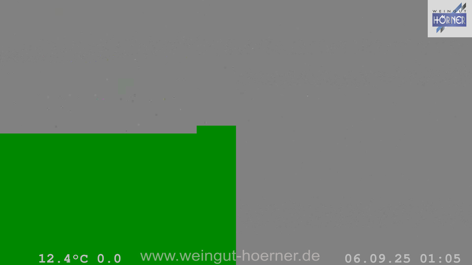 Webcam Weinberge Hochstadt