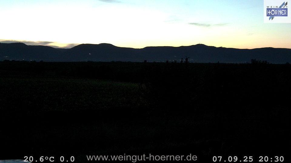 Webcam Weinberge Hochstadt