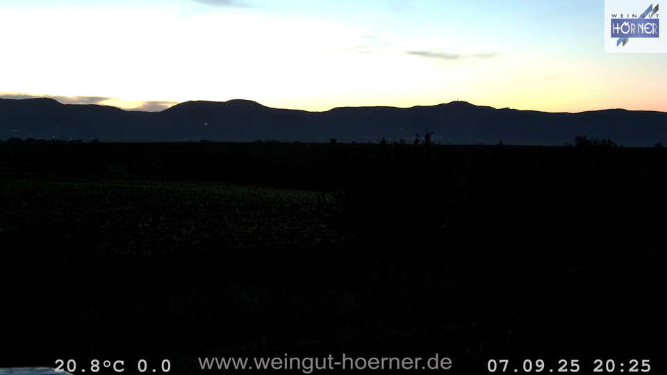 Webcam Weinberge Hochstadt