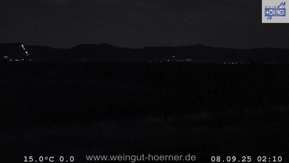 Webcam Weinberge Hochstadt