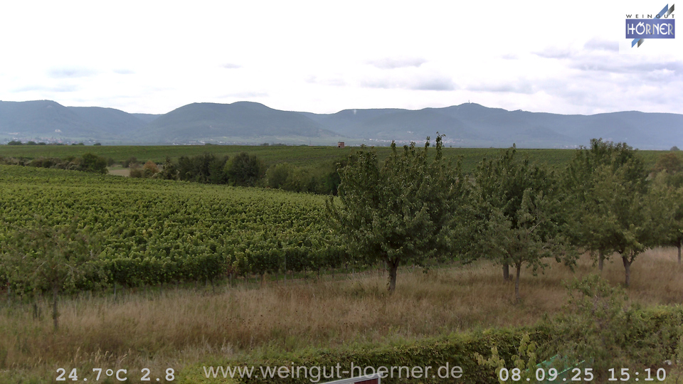 Webcam Weinberge Hochstadt