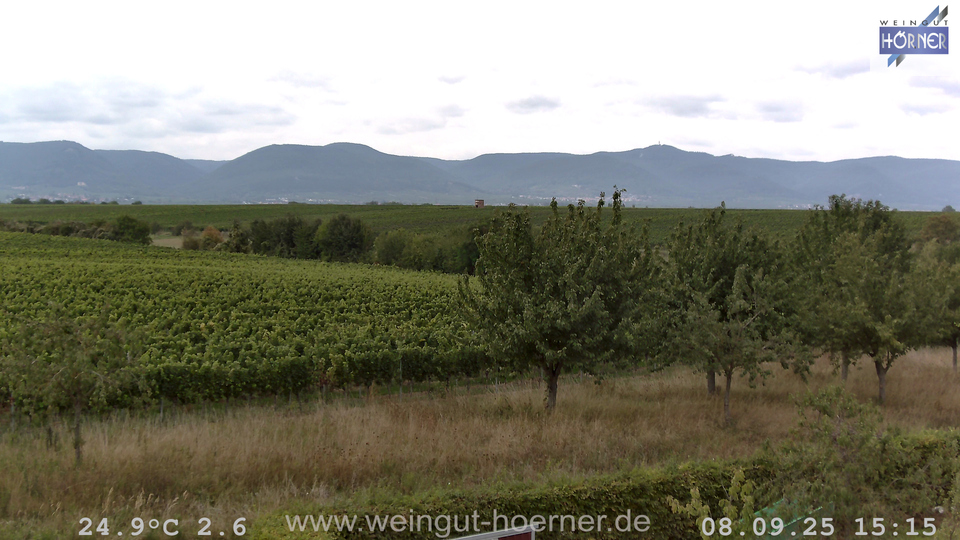 Webcam Weinberge Hochstadt