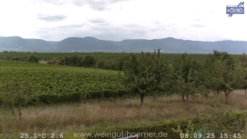 Webcam Weinberge Hochstadt